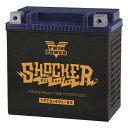 【Twin Power】Shocker ゲルバッテリー YTX14L-BS互換品 スポーツスター