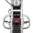 【純正】エンジンガード クローム 2004〜2021 スポーツスター