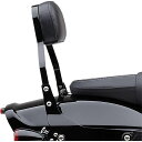 【コブラ】 ミニ・デタッチャブルバックレスト ブラック 2018〜2025 FXFB/S 602-2028B