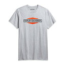 HARLEY-DAVIDSON 純正（ハーレーダビッドソン）メンズスタックロゴTシャツ_96041-21VM