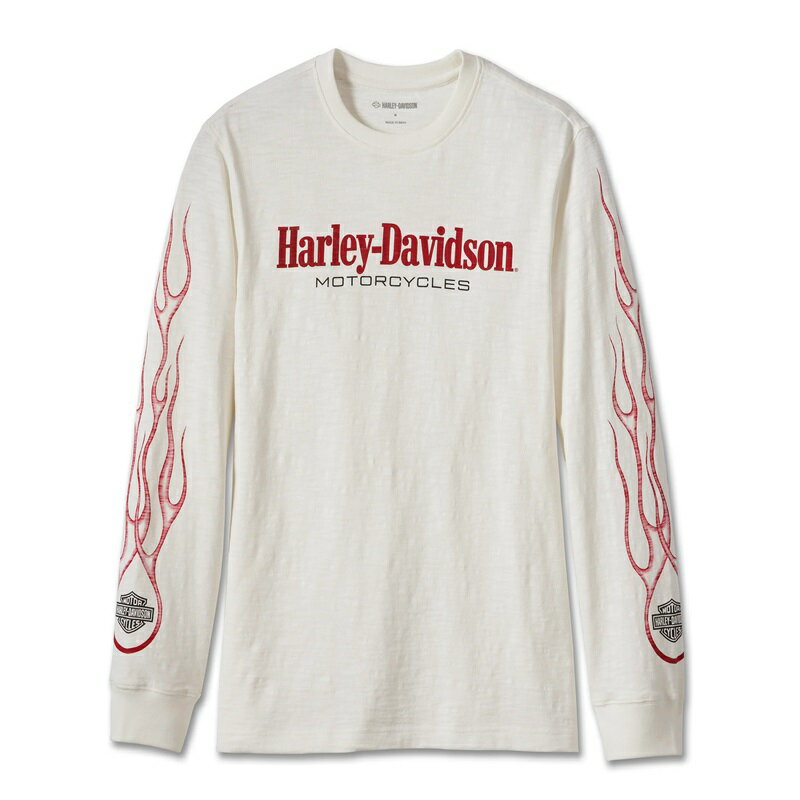 HARLEY-DAVIDSON 純正（ハーレーダビッドソン）メンズ インフレイムスTシャツ_96208-24VM