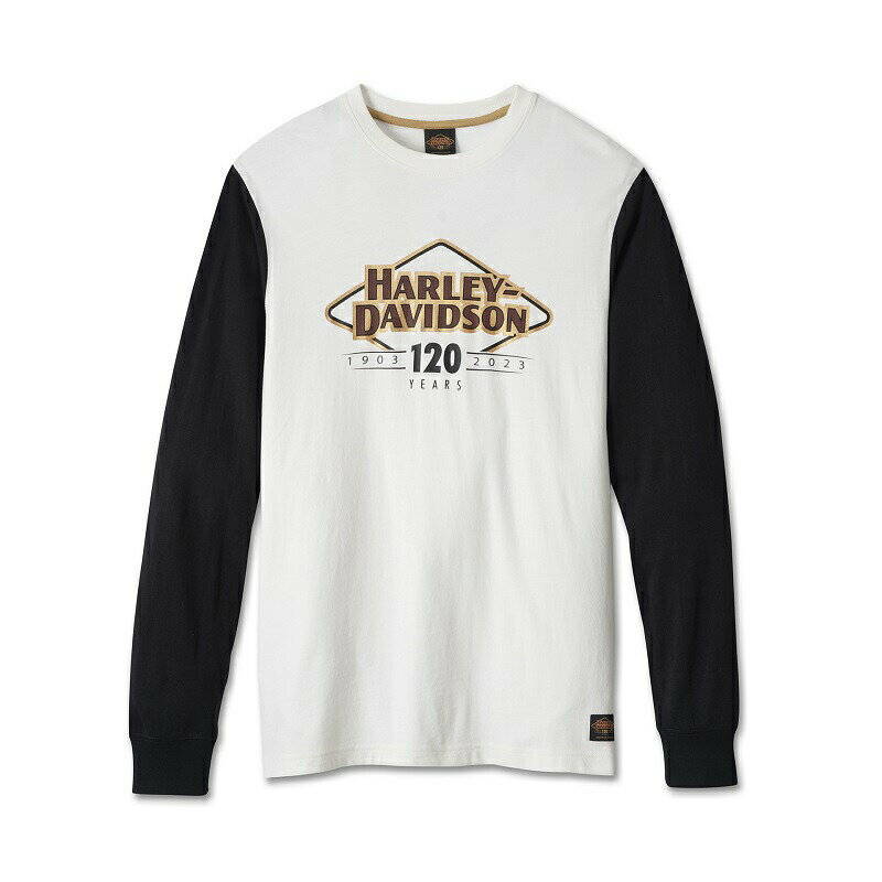 HARLEY-DAVIDSON 純正（ハーレーダビッドソン）メンズ120周年記念カラーブロックTシャツ_96570-23VM