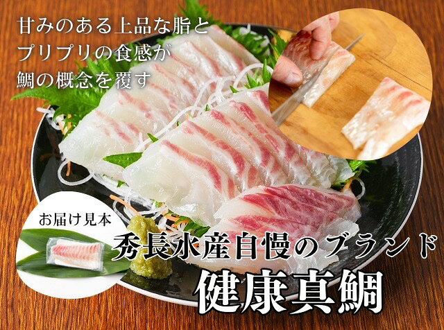 愛媛県産　秀長お刺身さく5点セット|冷凍商品　マルバンさしみ醤油100ml×1本付き　タイ ブリ カンパチ ヒラメ マグロ　中トロ　刺身　刺身盛り合わせ　盛り合わせ　宇和島　お中元　お歳暮　ご贈答　プレゼント　贈り物 hdc-direct-10000002 秀長水産ダイレクトショップ サンプル画像3