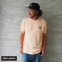 BILLABONG r{ TVc  KAMEA LAVA ARCH SS TVc BD011261 Y fB[X JAEn[_[ R{ T[t {^jJ nC N[lbN vg AJW T[t Xg[g obNvg