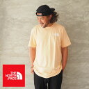m[XtFCX TVc  THE NORTH FACE S/S BOX NSE TEE NF0A4763 Y TVc S vg obNvg {bNXS uhS   AEghA Lv