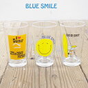 BLUE SMILE ブルースマイル グラス BS16-LG タンブラー おしゃれ コップ ペア 食器 カフェ サーフ surf マリン スマイル プリント カジュアル クリア 日本製 箱入り プレゼント ギフト