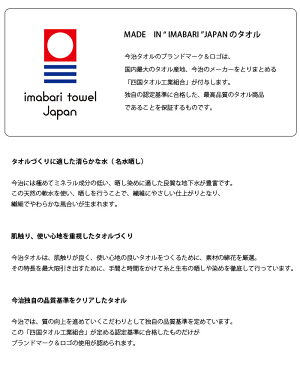 Otta オッタ ハーフ タオルハンカチ OT19-0060-0936 ハンカチ 今治タオル タオル ギフト プレゼント ミニタオル ハンドタオル お祝い 母の日 父の日 敬老の日 内祝い ビジネスギフト 退職 定年 お礼 お返し おしゃれ グリーン ブルー 【メール便可】