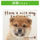 (試聴できます) Have a nice day それで