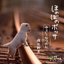 (試聴できます) ほのぼのボッサ やさしくなりたい | ヒーリング 音楽 癒し ミュージック 不眠 ボサノバ アコースティックギター 渡辺幹男 曲 CD BGM...