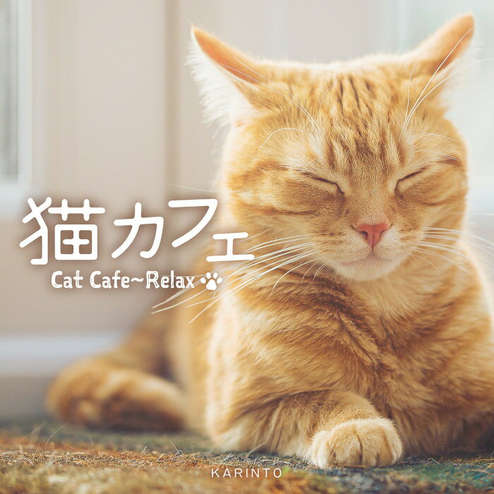 楽天癒しの音楽 ヒーリングプラザ（試聴できます） 猫カフェ | リラックス ヒーリング 音楽 曲 癒し DISHドラえもん となりのトトロ 手嶌葵 スピッツ みんなのうた ギター リラックス 子供 赤ちゃん ねこふんじゃった 久石譲 つじあやの 猫の恩返し おうち 家 CD BGM 送料無料