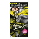 䂤pPbg wGOSSO  BODY 20 (ʌI)+2񕪁x