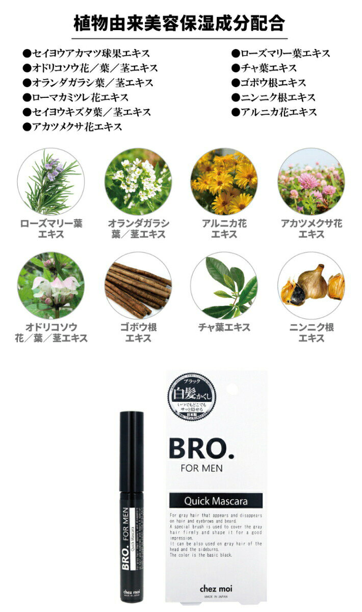 ※ゆうパケット・定形外郵便送料無料※ 『BRO. FOR MEN Quick Mascara マスカラ　ブ...