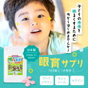 子供 目のサプリ 【眼育サプリ】 10袋セット＋1袋おまけ お得な11袋 【送料無料】 サプリ ブルーベリー ビタミン ルテイン 眼育サプリ キシリトール 配合 子ども サプリ こども サプリメント めいくサプリ 子供用サプリメント ホームワック 視力検査表 目育サプリ アイケア 3