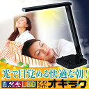 自然光LEDデスクライト オキラク e?Mezame デスクライト デスクスタンド イーメザメ csd-90sc 目覚まし LEDデスクスタンド 目覚まし時計 ビッグタイム ウェイクアップ グッデイライト トリプトファン LED 学習机 スタンドライト デスクスタンドライト