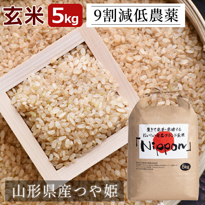 9割減 低農薬 玄米 5kg 
