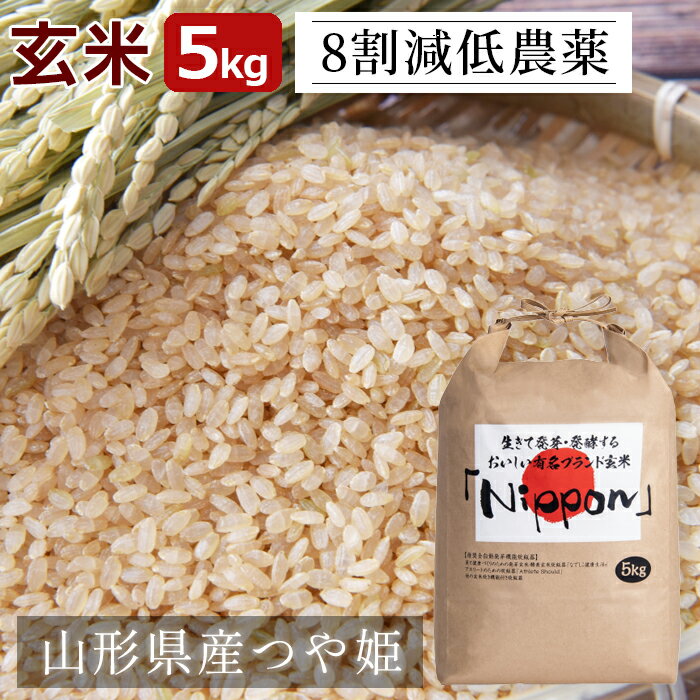8割減 低農薬 玄米 5kg 