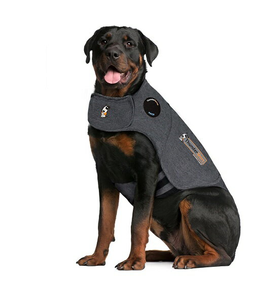 不安緩和シャツ サンダーシャツ クラシック グレー XXL 犬 いぬ イヌ 雷 花火 不安緩和 Thunder shirt