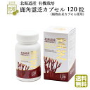 【最大2500円OFFクーポン配布中】霊芝サプリ 鹿角霊芝カプセル120粒 北海道産 ※1ヶ月分 サプリメント レイシ 健康管理 誕生日 プレゼント 御祝い 国...