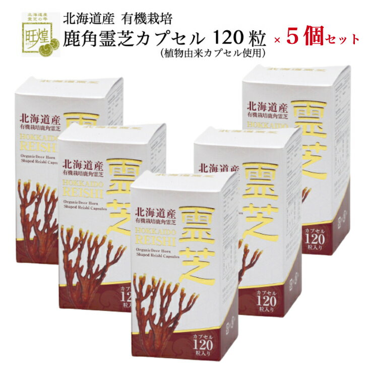 霊芝 サプリ 120粒 5個 セット 鹿角霊芝 カプセル 霊芝サプリ れいし 霊芝(レイシ) レイシ サプリメント reishi 美容サプリ ベータグルカン β－グルカン 女性 鹿角 きのこサプリ 健康サプリ 健康食品 北海道産