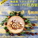 フリーズドライ なつめチップス 月乃果（TSUKINOKA）100g 無農薬 無化学肥料 ノンシュガー ノンフライ 無添加 厳選なつめ 日本加工