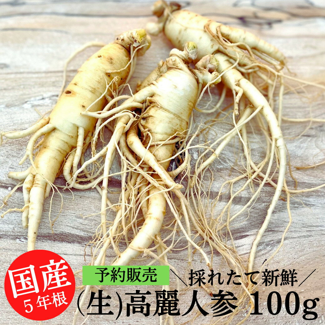 【6月下旬 発送予定】 国産 生の 高麗人参 100g(15cm前後サイズ) 生 高麗 人参 コーライ オタネニンジ..