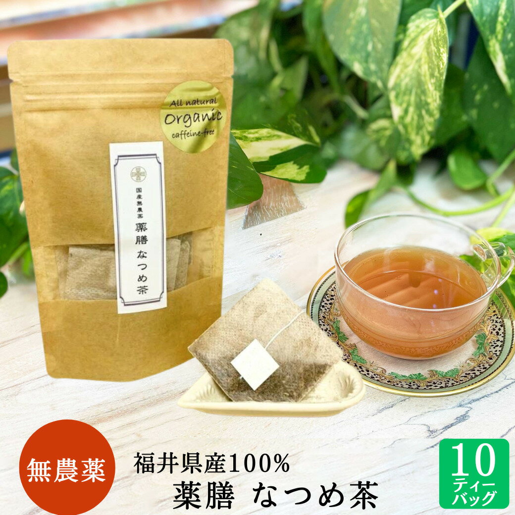 なつめ茶 棗 国産無農薬 無添加 なつめ茶 福井県産 10ティーバッグ ナツメ 漢方 薬膳食材 ドライフルーツ 鉄分 ミネラル豊富 美容 妊婦 日本産　＊メール便