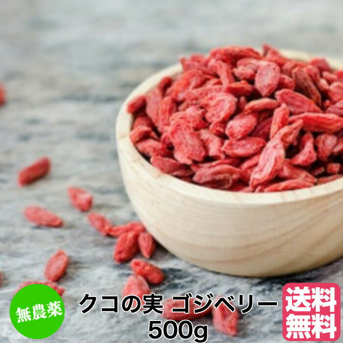 【スーパーSALE 30％OFF 】クコの実 500g 無農薬 有機JAS USDAオーガニック認証原料使用 ドライゴジベリー GOJIBERRY 寧夏産 枸杞の実 くこの実 クコノミ スーパーフード 美容 無添加 薬膳食材 杏仁豆腐