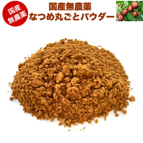 大人気！！【国産無農薬 無添加】なつめパウダー100g（福井県産）/棗 ナツメ なつめ茶 漢方 薬膳食材 ドライフルーツ 鉄分 ミネラル豊富 美容 妊婦 妊活 貧血 花粉症 日本産