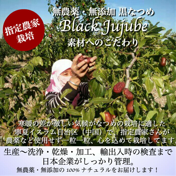 ＼9/4(日)からお買い得／ 黒なつめ 棗 無農薬 BLACK JUJUBE 300g ＜送料無料＞ 無添加 甘い 砂糖不使用 蒸しなつめ ナツメ 薬膳 妊婦 鉄分 葉酸 亜鉛 パントテン酸 ヴィーガン