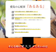 <送料無料>インコ・オウム用 北海道産 霊芝粉末15g(約60日分)ノンカフェイン 霊芝茶 βーグルカン 国産 日本産 メール便