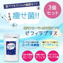 【賞味期限2025/9の為処分価格】お得な3個セット!腸活サプリ! ビフィラプラス 1g当たり5兆個のスーパー乳殺菌 乳酸菌サプリ 腸活 菌活 センスピュール ...
