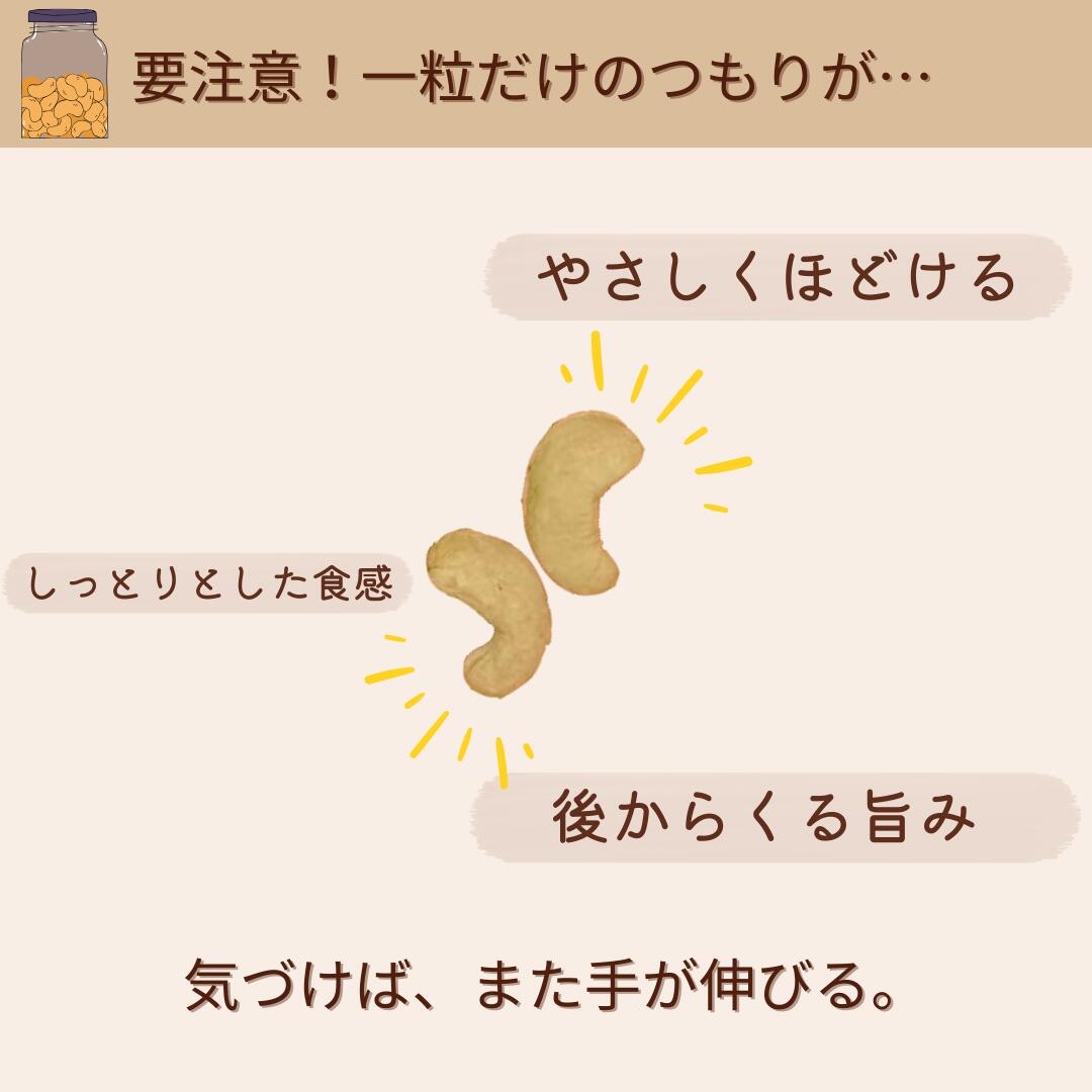 無添加カシューナッツ 200g 生カシューナッツ ナッツ 食塩不使用 無塩 おやつ 間食...