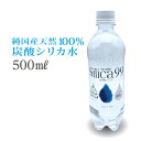 Silica99 - シリカ99 - 大分県産 100%天然鉱泉水 500ml 1本 宅急便|天然炭酸水 微炭酸 非加熱 シリカ(ケイ素)含有99.4mg/L 宅配便