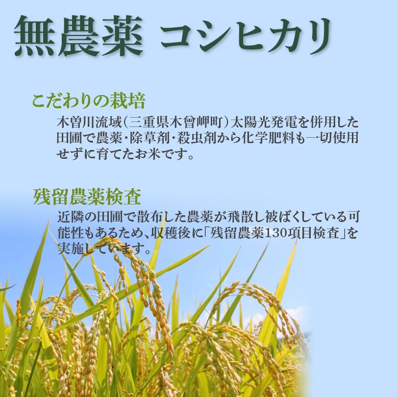 令和7年 三重県木曽岬産 コシヒカリ 白米 3kg 農薬不使用 米 お米 国産 こしひかり...
