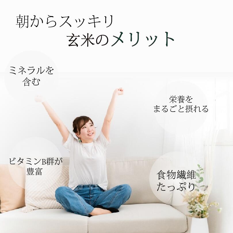 令和7年 三重県木曽岬産 コシヒカリ 白米 3kg 農薬不使用 米 お米 国産 こしひかり...