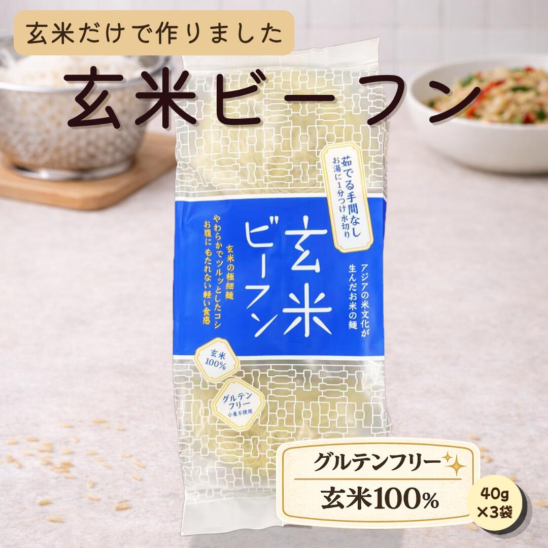 【新商品】玄米ビーフン 玄米｜宅配便 ※冷蔵・冷凍便同梱可