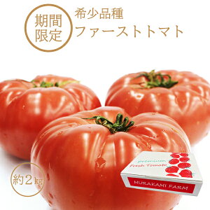 期間限定(～6月中旬迄) ファーストトマト 2キロ箱 クール(冷蔵)便 |産地直送 野菜 化粧箱入 リコピン ビタミンC 美味しい 栄養価 健康 美容 ご自宅 甘い 酸味 ハート型 旬 愛知 伝統野菜 取り寄せ ギフト 糖度 現在：クール冷蔵便 冬季：宅急便 ※同梱不可・1箱ずつ送料