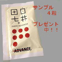 【クーポン獲得】【ポイント10倍】【4980円以上送料無料】【サンプル4粒プレゼント】【正規販売店】白井田七人参 粒タイプ 240粒入 しらいでんしち