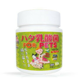【3980円以上送料無料】ハタ乳酸菌 FOR PET（60g入り 約2ヶ月分 計量スプーン付）