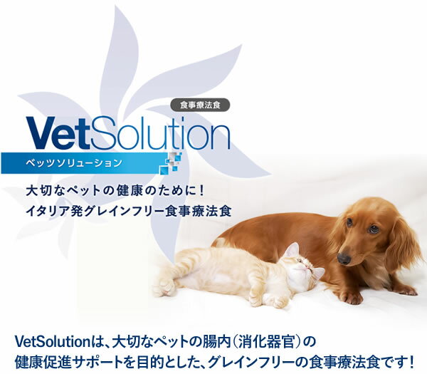【猫用】【Monge】 VetSolution　ベッツソリューション　皮膚サポート 400g　猫用　食事療法食　ペットフード 2