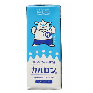 カルシウム飲料【カルロン 200ml×24本入り】サプリ CPP マグネシウム 紙パック 子供 成長 栄養 子ども 日本製 栄養機能食品 白寿 ハクジュ