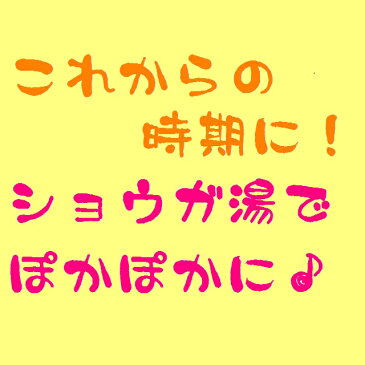 自然王国 生しぼり しょうが湯18g×20袋 12箱（2ケース）まとめ買い 粉末タイプの生姜湯