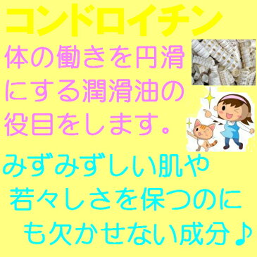 ハイ・コラーゲンつぶ ゴールド 120粒入 3個《♪サンプル付き♪》【まとめ買いで送料無料】