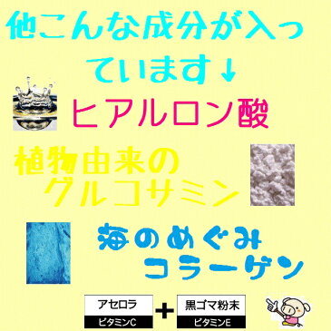 ハイ・コラーゲンつぶ ゴールド 120粒入 3個《♪サンプル付き♪》【まとめ買いで送料無料】