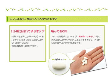 エクエル パウチ 120粒 3個セット 送料無料エクオール 大塚製薬代引き不可