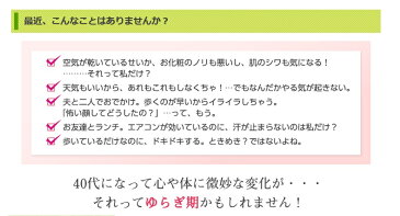 大塚製薬 エクエル 112粒入×2個セット送料無料