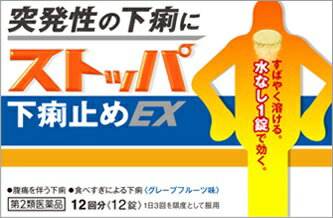 【第2類医薬品】【代引き以外用ページ】ストッパ下痢止めEX 24錠