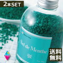 ポイント5倍！ハッカ湯 入浴剤(ボトルタイプ)　450g　×2本　- 北見ハッカ通商 Sel de Menthe(セル・デ・メンタ) ハッカ油 セルデメンタ