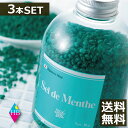 ポイント10倍！ハッカ湯 入浴剤(ボトルタイプ)　450g　×3本　- 北見ハッカ通商 Sel de Menthe(セル・デ・メンタ) ハッカ油 セルデメンタ