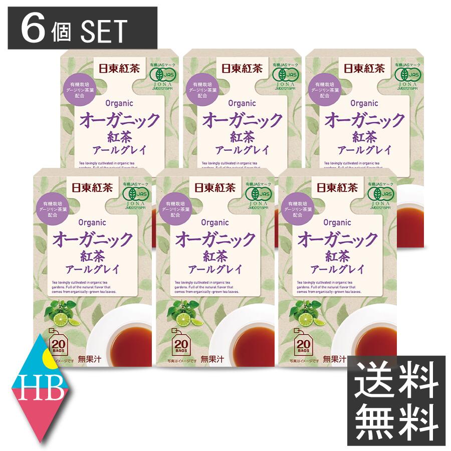 日東紅茶 オーガニック紅茶 アールグレイ ティーバッグ 20袋入り×6個セット【日東紅茶】送料無料